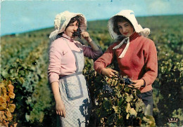 Vignes - Scènes De Vendanges - Femmes - Folklore - Carte Dentelée - CPSM Grand Format - Voir Scans Recto-Verso - Vignes
