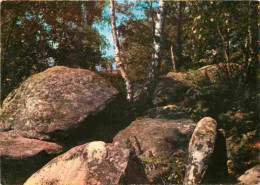 91 - La Ferté Alais - Les Rochers - CPM - Voir Scans Recto-Verso - La Ferte Alais