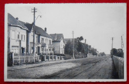 CPSM Leopoldsburg Ijzerlei  Bourg-Léopold Avenue De LYser - Leopoldsburg