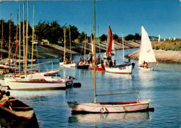 N°889 Z -cpsm île De Ré -école De Voile- - Vela