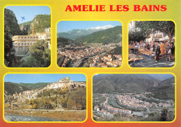 66-AMELIE LES BAINS-N°4145-A/0075 - Autres & Non Classés