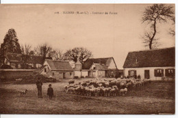 Carte Postale Ancienne Illiers - Intérieur De Ferme - Agriculture, Moutons, Ovins - Illiers-Combray