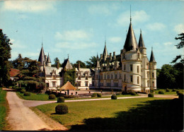 N°892 Z -cpsm Château De Pouilly Sur Loire - Châteaux