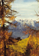 Hochkönig / Land Salzburg - Maria Alm