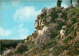 16 - Chateauneuf Sur Charente - Les Rochers De La Font Qui Pisse - Mention Photographie Véritable - Carte Dentelée - CPS - Chateauneuf Sur Charente