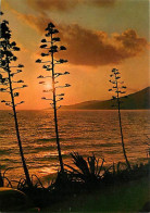 Coucher De Soleil - CPM - Voir Scans Recto-Verso - Halt Gegen Das Licht/Durchscheink.