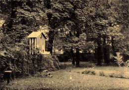 BELGIQUE - Enghien - Maison Saint Augustin - Vue Dans Le Parc - Carte Postale - Edingen