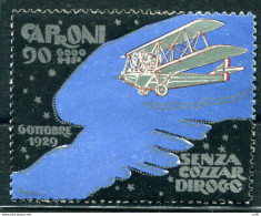 1929 - Aereo Caproni 90 - Erinnofilo RRR - Storia Postale (Posta Aerea)