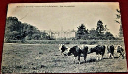 LEMBEEK  - LEMBECQ  -  Maison St Joseph -  Vue Panoramique  - - Halle