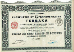 33-PHOSPHATES ET SUPERPHOSPHATES DE TEBBAKA. SA DES ... 1926.  Lot De 10  Imprimerie RICHARD - Altri & Non Classificati