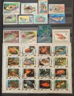 Collection De Timbres Sur Le Thème Des Poissons. - Verzamelingen (zonder Album)