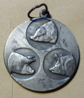 BELGIQUE Médaille Concours Agricole 3 Têtes De Cochon HANNUT   9 Juillet 1967 - Firma's