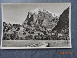 GRINDERWALD  WETTERHORN - Wald