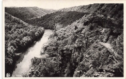 BELGIQUE - Le Hérou - Vue Sur La Rivière - Forêt - Vue Générale - Carte Postale Ancienne - Other & Unclassified