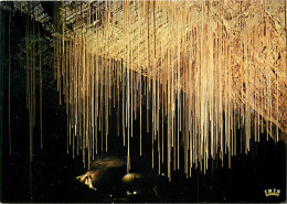 38 - Pont En Royans - Grottes De Choranche - Les Fistuleuses - Spéléologie - Curiosité Géologique - Carte Neuve - CPM -  - Pont-en-Royans