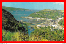 CPSM/gf  FISHGUARD (Pays De Galles)   The Harbourg, Lower Fishguard..*8692 - Pembrokeshire