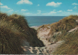 66367 - Niederlande - Wijk Aan Zee - Groeten - Ca. 1975 - Wijk Aan Zee