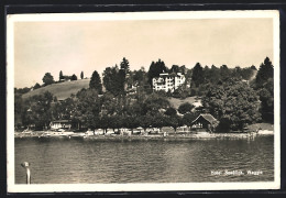 AK Weggis, Hotel Seeblick Vom See Aus Gesehen  - Weggis