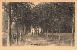 BELGIQUE - Malmédy - Pouhon Des Iles - Carte Postale Ancienne - Malmedy