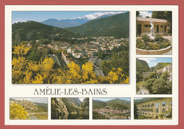 CP 66 AMELIE LES BAINS 54 Multi Vues - Amélie-les-Bains-Palalda