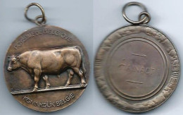 BELGIQUE Médaille (Bronze) Concours Agricole Hainaut Raymond De Meester - Firma's