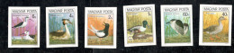 HUNGARY......1980:Michel3451-6B BIRDS(imperfs) Cat.Value35€ - Nuovi