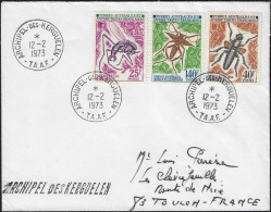 Antarctique Français TAAF 1972 Y&T 40 à 42 Sur Lettre. Insectes - Other & Unclassified