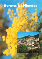 FRANCE - Bormes Les Mimosas - Fleurs - Vue Générale De La Ville - Carte Postale - Bormes-les-Mimosas