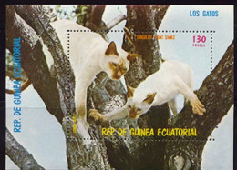 Guinée Equatoriale   Cats Chats BF  MNH - Gatti