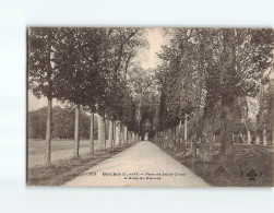 GARCHES : Parc De Saint-Cloud, L'Allée De Marnes - état - Garches