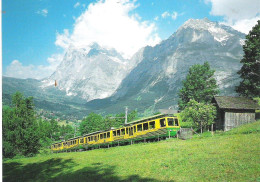 FUNICULAR RAILWAY, WETTERHORN, SWITZERLAND, UNUSED POSTCARD M1 - Funiculares