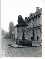 OUDENAARDE - FOTO 18 X 12.5 CM  FOTO'S VAN GLASPLAAT OF OUDE CLICHE GENOMEN - OORLOGSTIJD - Oudenaarde