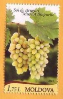 2013  Moldova  Moldau   Muscat Early  Grapes, Winemaking  1v Mint - Moldavie