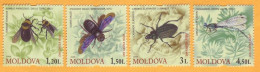 2009 Moldova Moldavie Moldau Insects. Bees, Flies, Beetles 4v Mint - Other & Unclassified