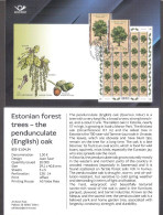 Forest Trees – Oak Estonia 2024 Stamp Presentation Card (eng) Mi 1101 - Estonia