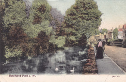 R319230 Bonchurch Pond I. W. J. W. S. 767. Post Card. 1906 - Monde