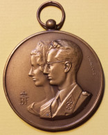 Médaille FISHWEILER Concours Agricole BAUDOUIN FABIOLA Landbouwprijskamp Vilvoorde Bronze - Professionali / Di Società