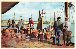 METIERS - Pêche - Mer - Pêcheurs - Colorisé - Carte Postale - Pêche