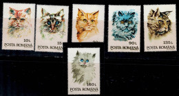 ROMANIA 1993 CATS MI No 4885-90 MNH VF!! - Ungebraucht