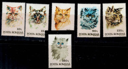 ROMANIA 1993 CATS MI No 4885-90 MNH VF!! - Nuevos