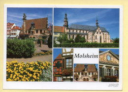 67. MOLSHEIM – Multivues (voir Scan Recto/verso) - Molsheim
