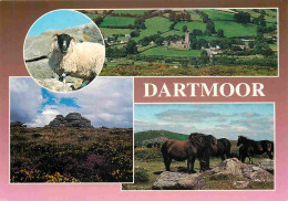 Angleterre - Dartmoor - Multivues - Moutons - Chevaux - Devon - England - Royaume Uni - UK - United Kingdom - CPM - Cart - Dartmoor