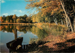 Forêt - Arbres - CPM - Voir Scans Recto-Verso - Trees