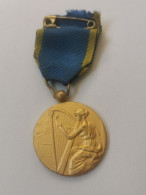 Luxembourg Médaille, Union Grand Duc Adolphe. - Andere & Zonder Classificatie