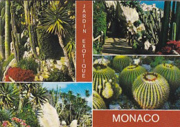 AK 212527 MONACO - Jardin Exotique - Exotische Tuin