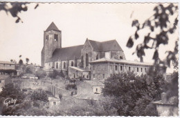 79 - CELLES SUR BELLE - EGLISE ABBATIALE NOTRE DAME DE CELLES - COTE SUD - Celles-sur-Belle