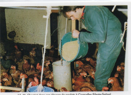 Agriculture Agricole M. Charriot Elevage De Poulets - Viehzucht