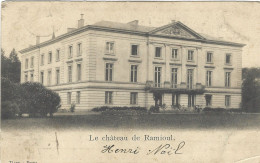 BELGIQUE - FLEMALLE - Le Château De Ramioul - Flémalle