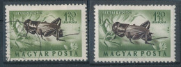 1954. Insects - L - Misprint - Variétés Et Curiosités