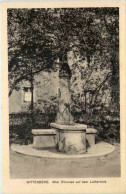 Wittenberg, Alter Brunnen Auf Dem Lutherhofe - Wittenberg